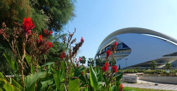 Half Day Valencia Walking Tour