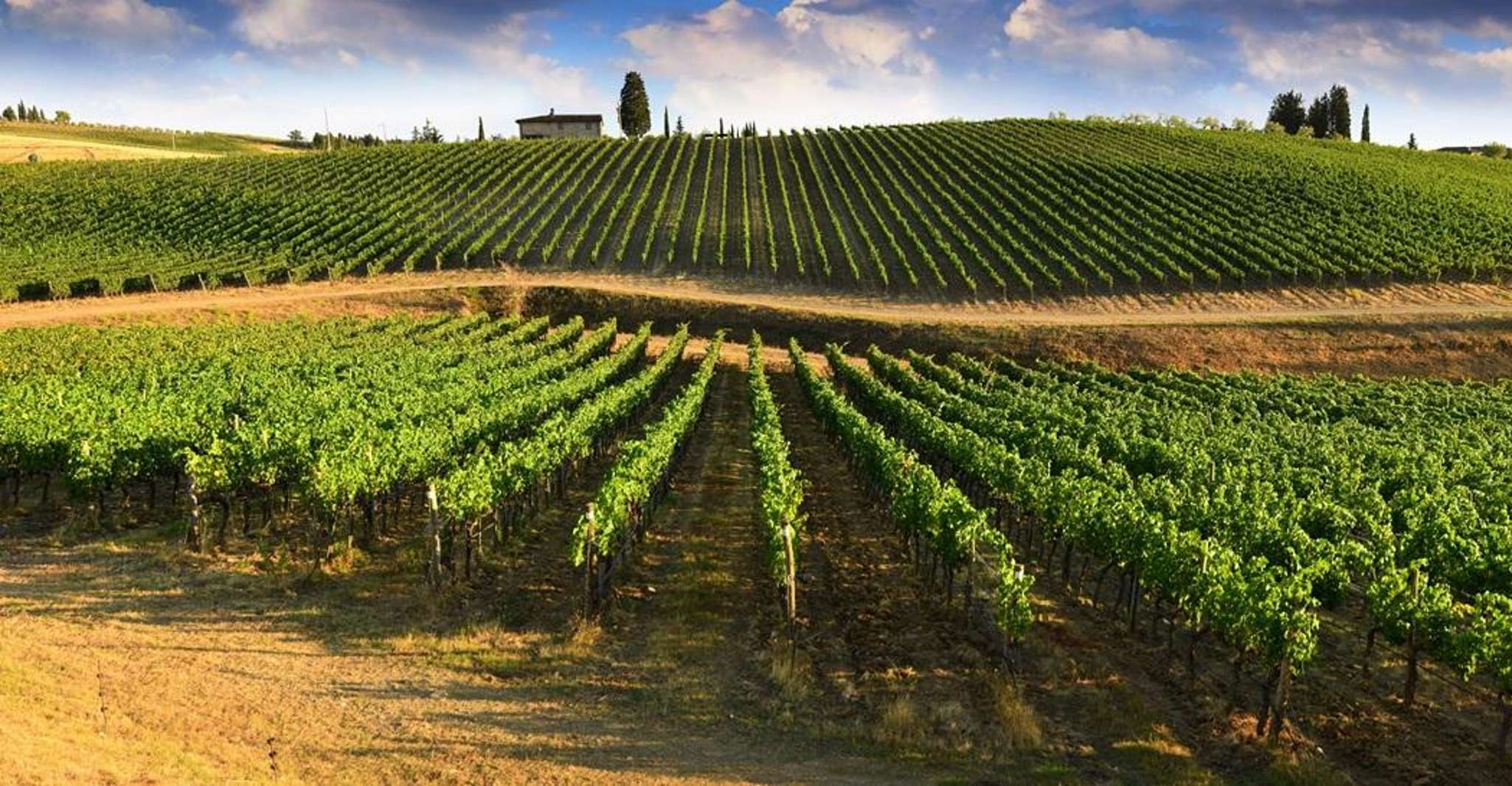 Half Day Escape to Chianti: Taste the Heart of Tuscany photo 5