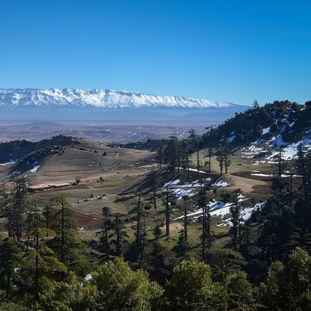Fès : Excursion d'une journée dans le Moyen Atlas : Imouzzer, Ifrane, Azrou