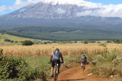 Paseo en bici 360° por el Kilimanjaro