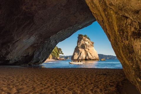 Von Auckland aus: Cathedral Cove &amp; Hot Water Beach Tour