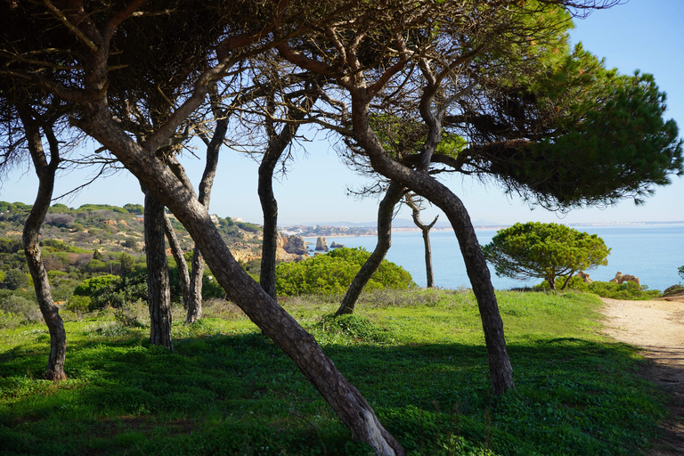 Albufeira Coastline Hiking - Small Group Albufeira Coastline Hiking Small Group