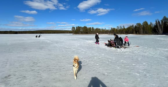 Rovaniemi: Ice Fishing on Palojärvi Lake with Local Guide