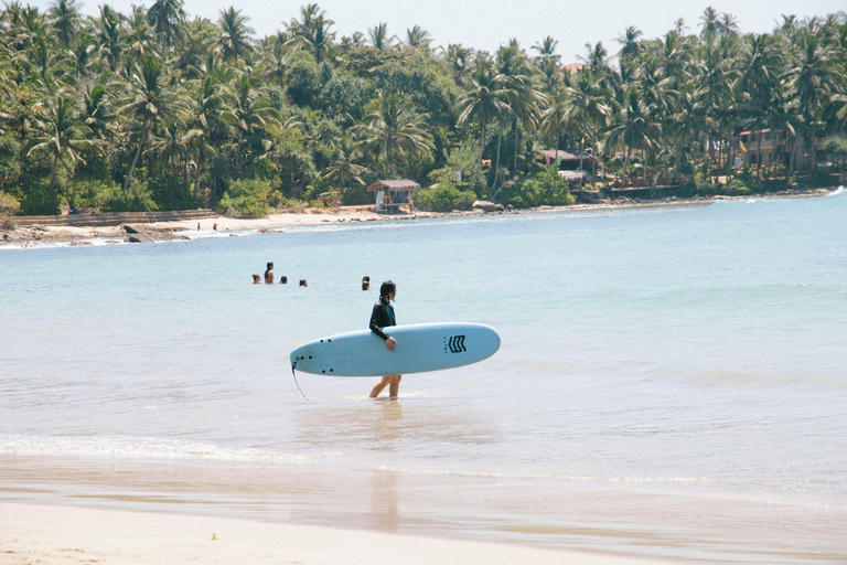 Bentota: Surfing Lesson with Instructor and Equipment