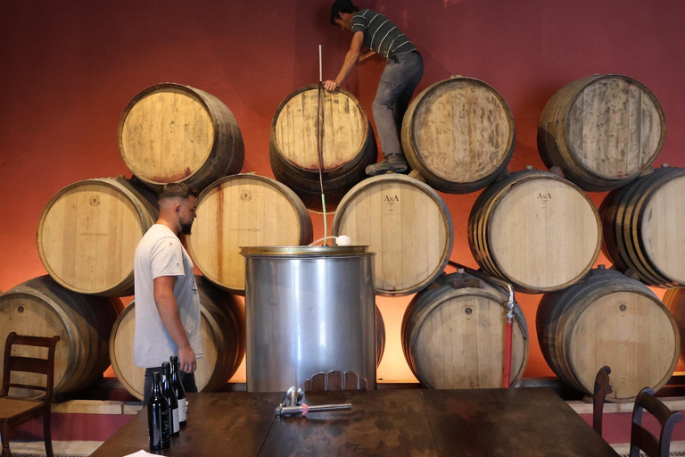 Valle del Douro: tour di mezza giornata con 1 cantina, degustazioni e tour in barca di 1 ora