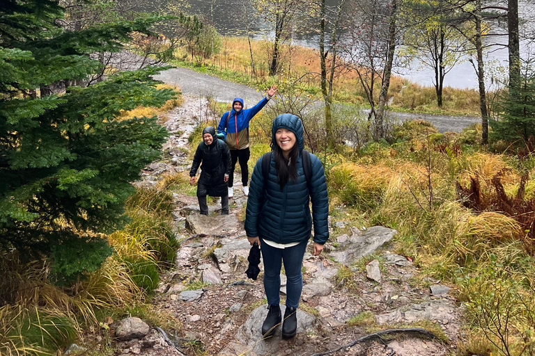 Bergen: Fjord Sauna Experience and Floyen Mountain Hike