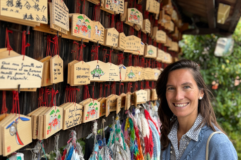 Kyoto Day Trip from Tokyo by Bullet Train Private Tour