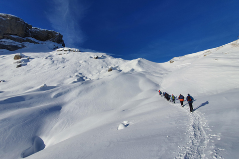 Snowshoe tour Ifen/Gottesacker Allgäu Kleinwalsertal