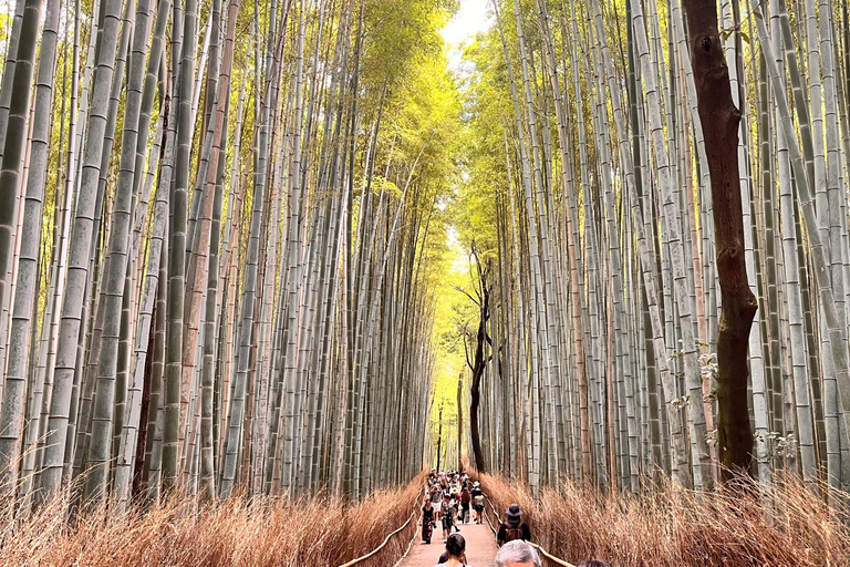 Kioto y Nara Lugares declarados patrimonio de la humanidad por la UNESCO Visita guiada en inglés