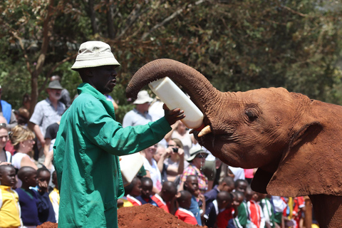 Parco nazionale di Nairobi, orfanotrofio degli elefanti e centro delle giraffe