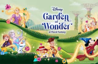 Gardens by the Bay Singapur: Kombipaket