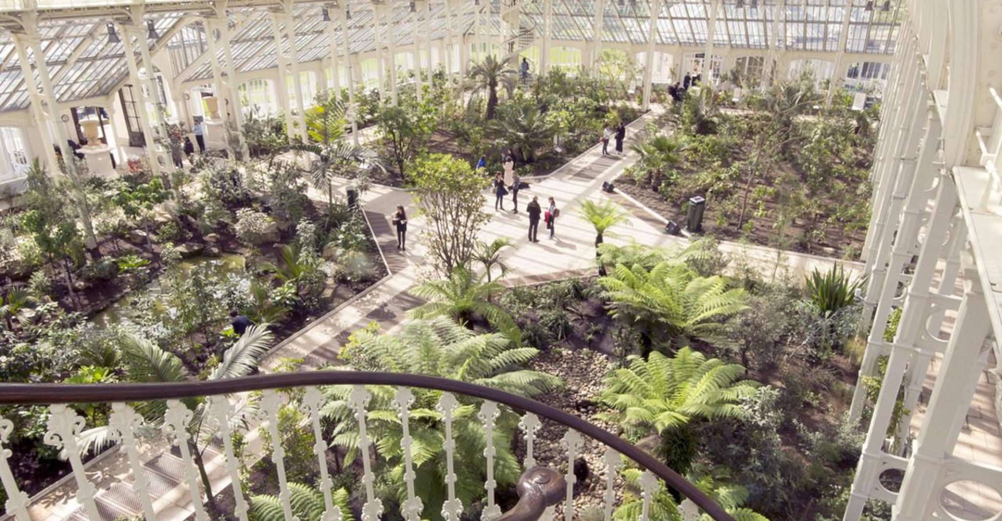 London: Westminster Walking Tour and Visit to Kew Gardens