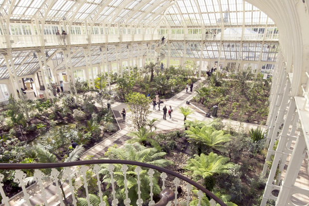 London: Westminster Walking Tour och besök i Kew Gardens