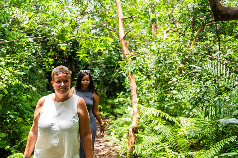 Secret Beach, Kuza-Höhle und Jozani-Wald mit Transfer