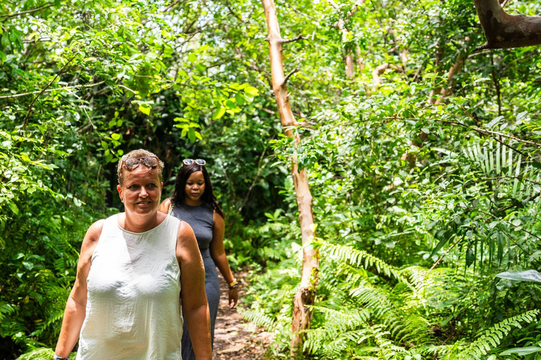 Zanzibar: Secret Beach, Kuza Cave e Jozani con trasferimentoSpiaggia Segreta, Grotta di Kuza e foresta di Jozani con trasferimento