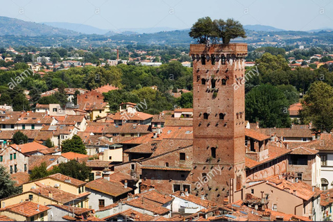 Visit Pisa & Lucca with lunch in a family-run winery Visit Pisa & Lucca with lunch in a family-run winery farm