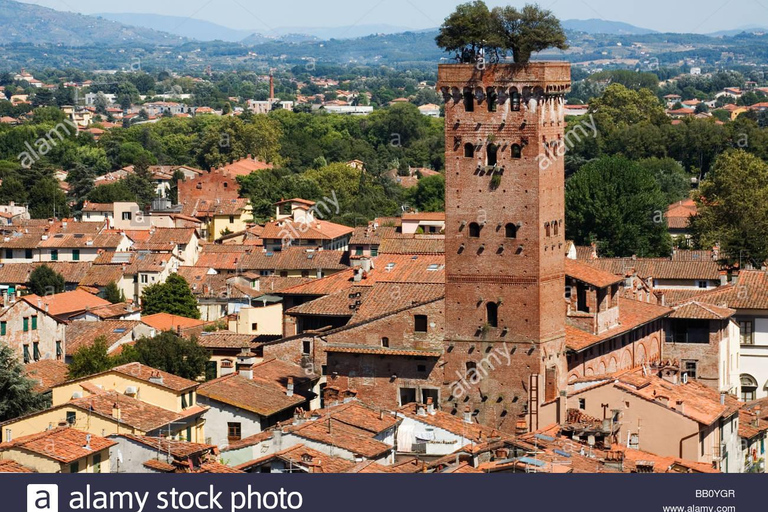 Visit Pisa & Lucca with lunch in a family-run winery Visit Pisa & Lucca with lunch in a family-run winery farm