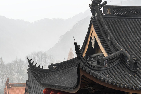 Hangzhou: Feilai Feng Scenic Tour met oude stenen beelden