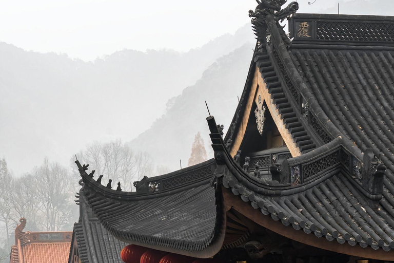 Hangzhou: Feilai Feng Scenic Tour med forntida stenristningar