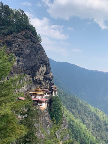Visit Bhutan festival tours in Paro