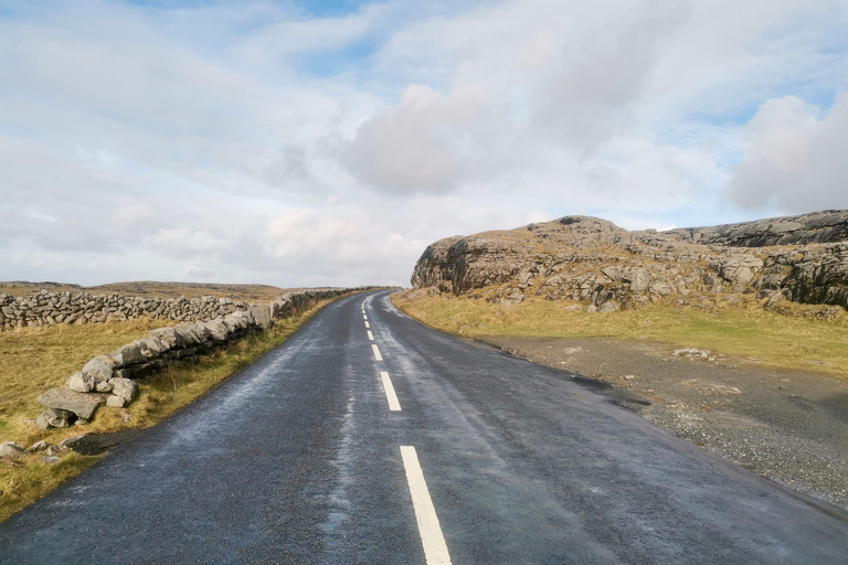 Acantilados de Moher: Tour privado de lujo desde Dublín