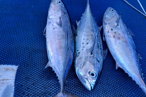 Rodas: Excursión de pesca, snorkel, barbacoa y guía profesional