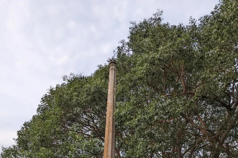 Bangalore: excursão particular de 1 dia com almoço e ingressosBangalore: Excursão particular de 1 dia com almoço e ingressos