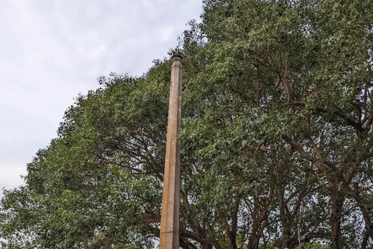 Bangalore: excursão particular de 1 dia com almoço e ingressosBangalore: Excursão particular de 1 dia com almoço e ingressos