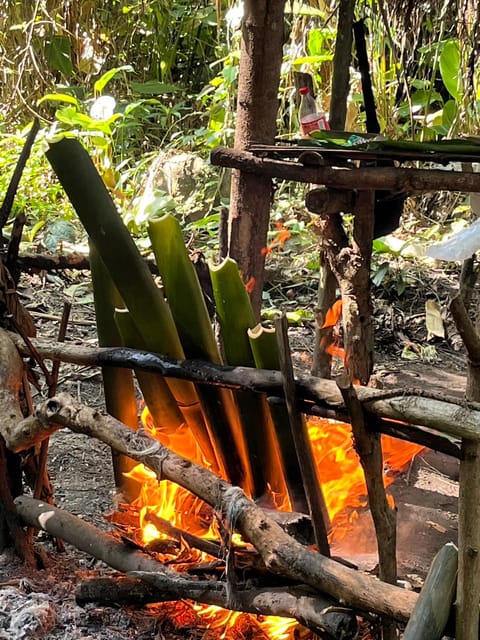Chiang Rai Jungle Adventure, Group Trekking & Bamboo Cooking - Hizvo