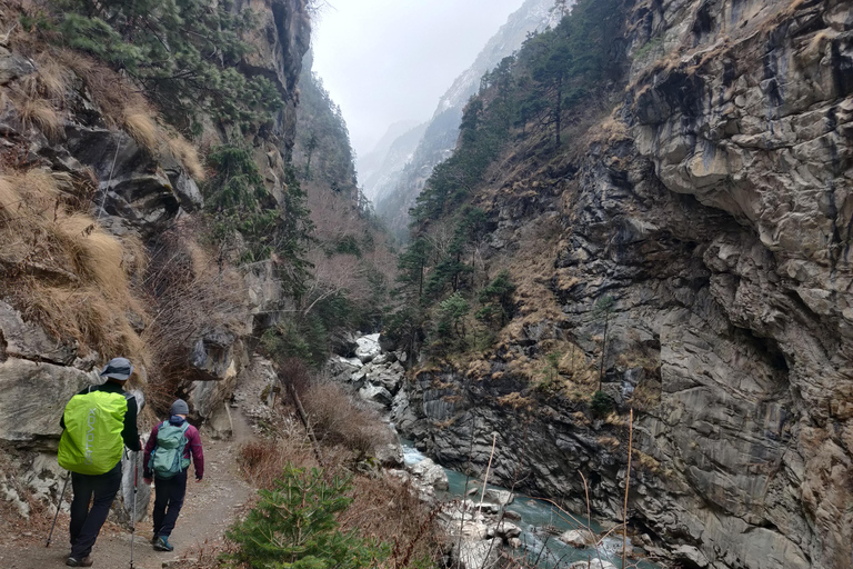 Trek de la vallée de Nar Phu