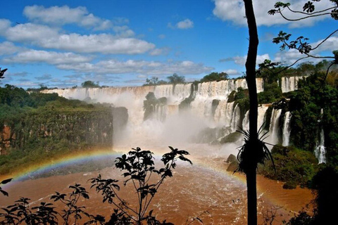 Puerto Iguazú: Tur till brasilianska Iguazúfallen med fågelpark