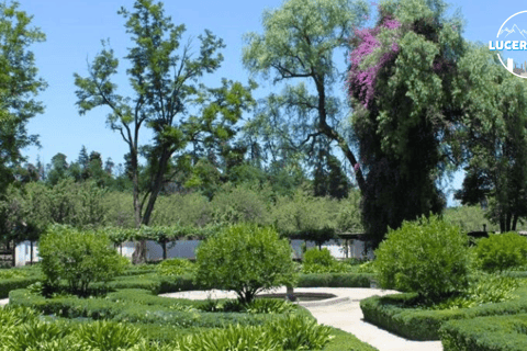 Santa rita Vineyard