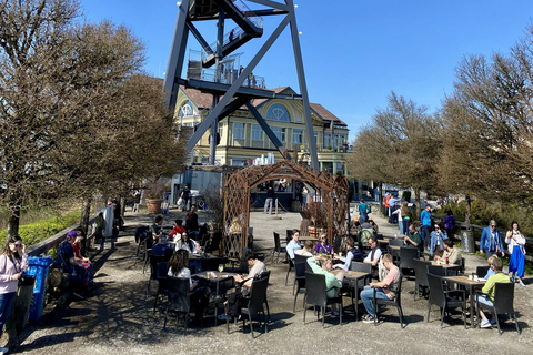 Zurich: Accompanied hike to Uetliberg