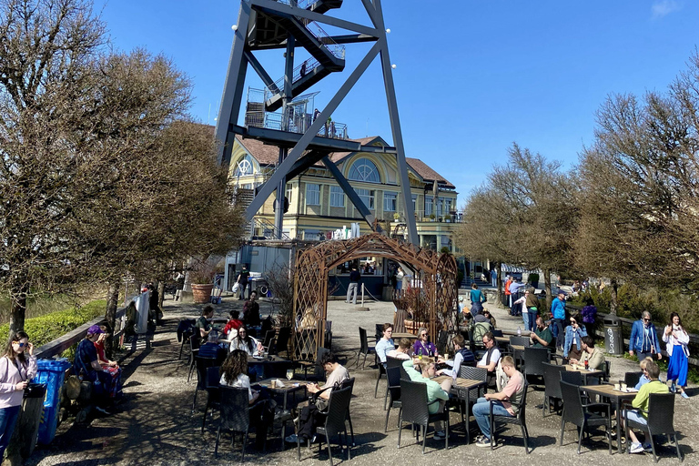 Zurich: Accompanied hike to Uetliberg