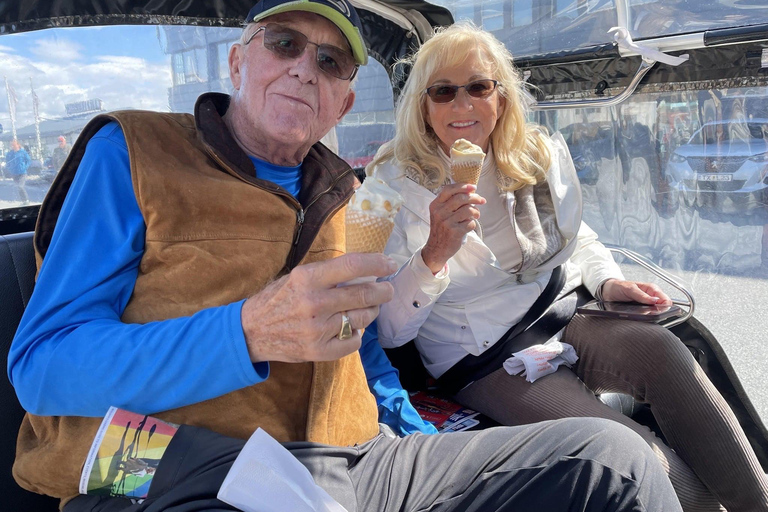 Private Reykjavík Tuk Tuk Extended Tour