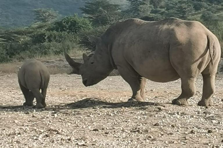 Nairobi National Park Safari 4x4 Car–Personalized Experience Shared Guided Game Open roofed 4x4 Van