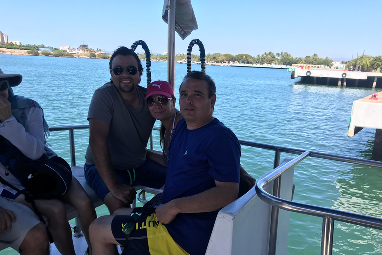 Puerto Vallarta: Whale & Dolphin Watching with Hydrophone