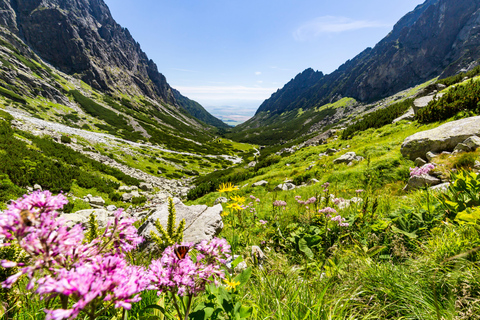 Slovakia: 3-Day Bratislava, Castles, Tatras Tour