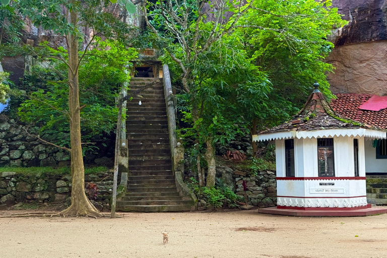 From Colombo: Cave Temples, Jungle Trek & Waterfall Swim