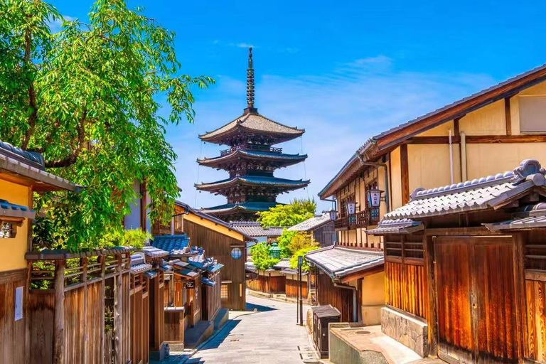 From Osaka: Kyoto and Nara Day Trip