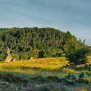 Shore Tour from Dublin: Wicklow Mountains & Dublin