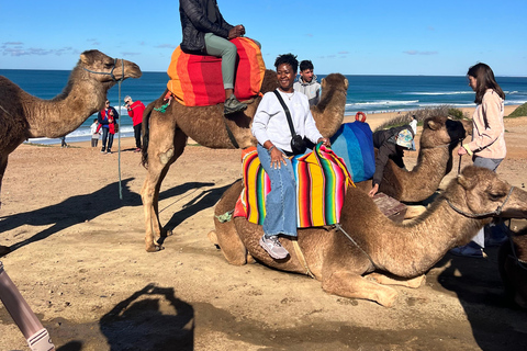 From Tarifa: Tangier Day Trip with Lunch and Ferry