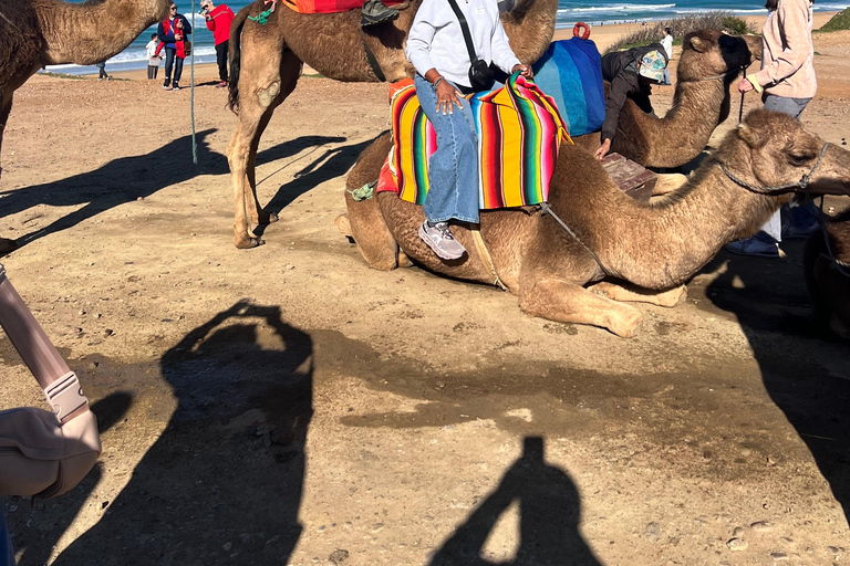 From Tarifa: Tangier Day Trip with Lunch and Ferry