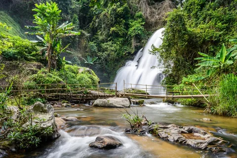 Chiang Mai: Parque Nacional de Doi Inthanon y Senderismo Pha Dok Siew
