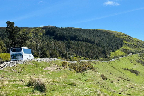 Dublin: Wild Wicklow Shore Tour- Glendalough & Guinness Lake