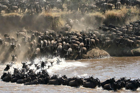 Serengeti: 6 Day Annual Wildebeest Migration Tour & Hotel 6 Days Annual Wildebeest Migration