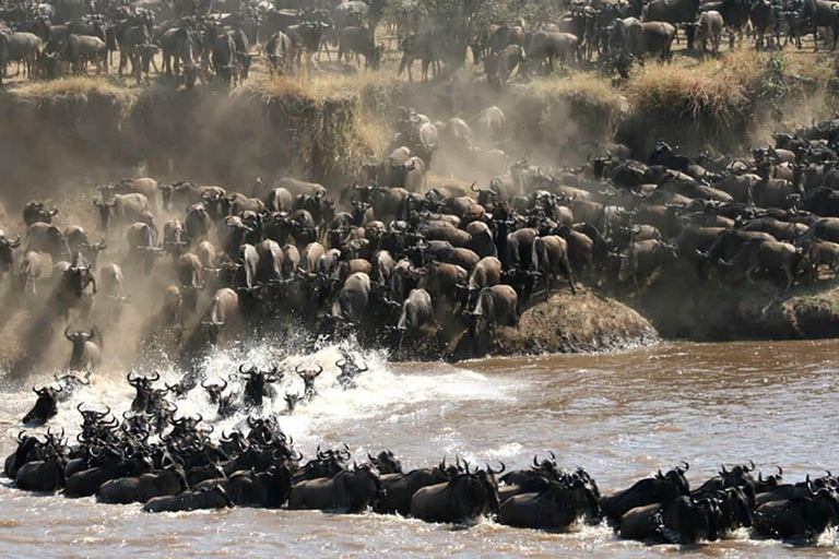 Serengeti: 6 Day Annual Wildebeest Migration Tour & Hotel 6 Days Annual Wildebeest Migration