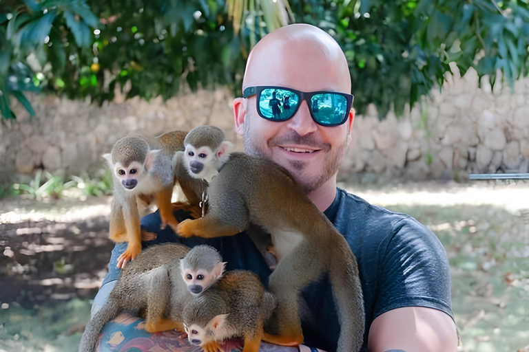 Vlindertuin Plus Apen en sigaren Puerto Plata-tourVlindertuin Plus Apen en sigaren in Puerto Plata