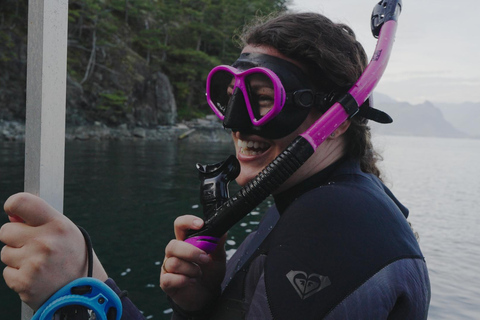 Snorkel Focas Remando Vida Salvaje Tour en barco en Vancouver