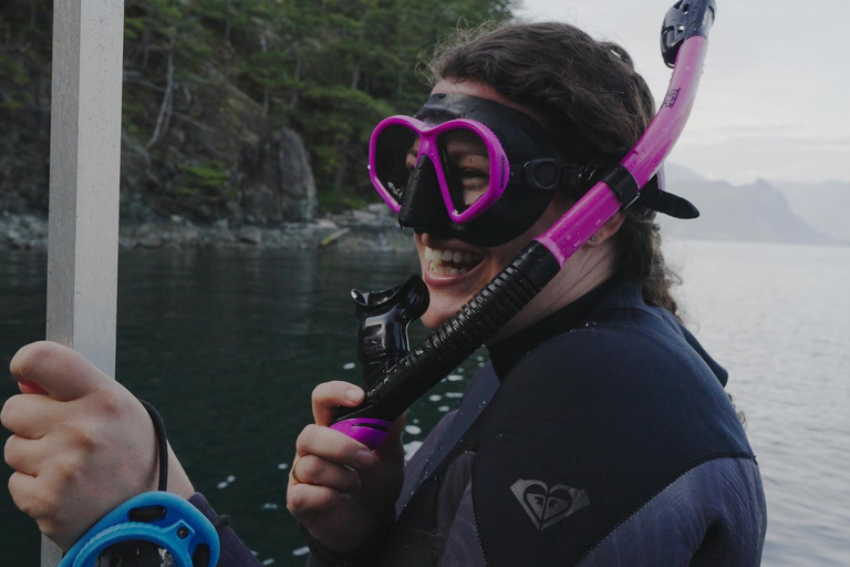 Snorkel Focas Remando Vida Salvaje Tour en barco en Vancouver